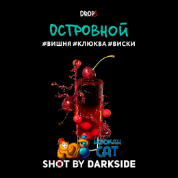 Табак DarkSide Shot 28 Вишня Клюква Виски (Островной) 25г